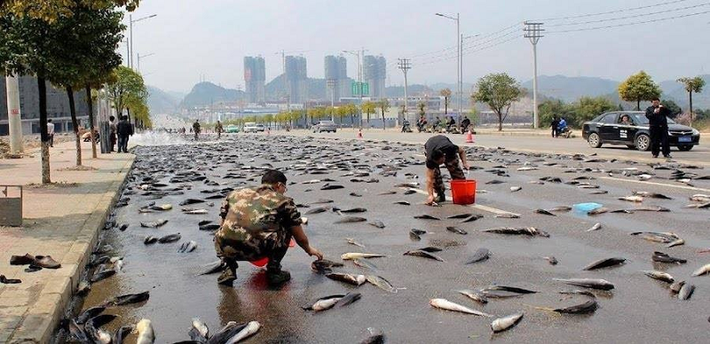 Ông Japanangka mô tả “trận mưa cá” là hiện tượng tuyệt vời nhất mà họ từng thấy. “Tôi cho rằng đó là phước lành từ Chúa”, ông chia sẻ.