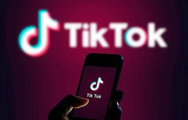 Ở châu Âu, hành vi thu thập dữ liệu cá nhân trẻ em của TikTok đang được các cơ quan quản lý EU giám sát chặt chẽ. Những người đứng đầu bộ phận Bảo vệ Dữ liệu vào tháng 6/2020 đã thành lập một lực lượng phối hợp điều tra quá trình hoạt động của TikTok.