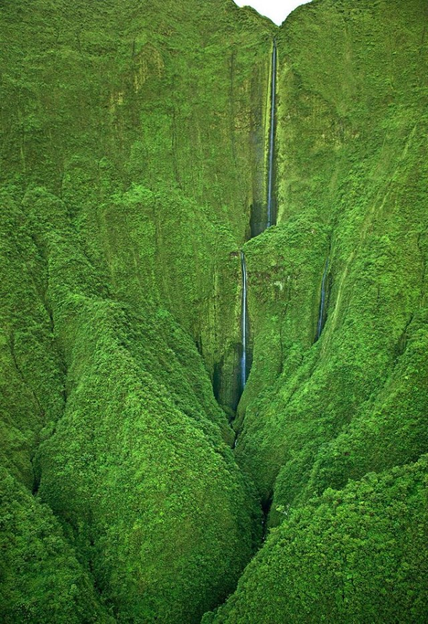 Thác Honokohau ở Maui là nơi hẻo lánh này ngập tràn cây xanh. Chỉ nhìn thấy nó thôi đã cho bạn cảm giác về vẻ đẹp tinh tế, hùng vĩ và bí ẩn của thế giới tự nhiên.