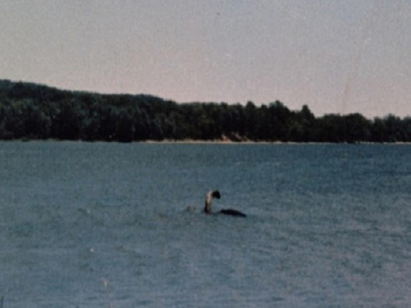 Quái vật hồ Loch Ness, thường còn được gọi là "Nessie" hay "Ness" (tiếng Gaelic: Niseag), là một động vật hoặc nhóm sinh vật bí ẩn và chưa thể xác định được, sống ở hồ Ness (Loch Ness - một hồ nước ngọt nằm gần thành phố Inverness tại Scotland với điểm sâu nhất lên tới 230 m