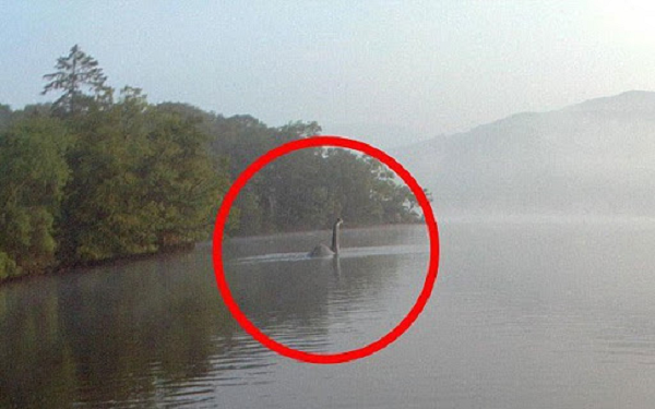 Có thể "quái vật hồ Loch Ness" cũng đang lẩn trốn khỏi sự hiếu kì và săn đuổi của con người.
