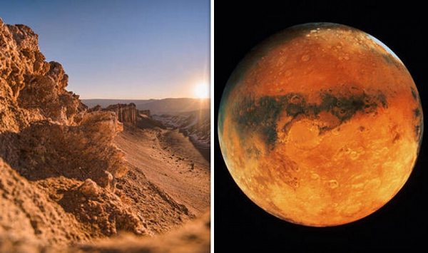 Thậm chí, tiến sĩ Roberto Orosei từ NASA còn khẳng định có thể các hồ ngầm của Sao Hỏa cũng đang đầy sinh vật.