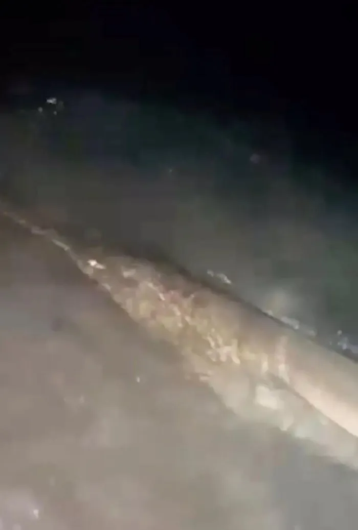 Hai ngư dân Dan D'alesio, 34 tuổi, và AJ Rotondella, đang câu cá mập ngoài khơi bờ biển Florida, Mỹ, đã bắt được một con cá đao khổng lồ dài 4,5 mét và nặng hơn 300kg.