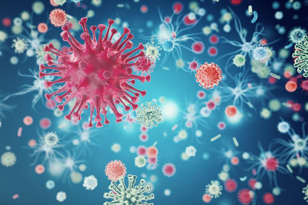 Nó có thể làm tác động tới phần gai protein trên virus - bộ phận giúp mầm bệnh xâm nhập vào tế bào người.