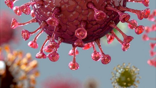 Điều này dẫn tới sự chậm lại rõ ràng trong tốc độ tiến hóa của virus theo thời gian. Nghiên cứu mới tính đến sụt giảm tốc độ của virus đã ghi nhận qua quan sát, tạo điều kiện để các nhà khoa học theo dõi quá trình tiến hóa của virus cho tới tận dạng "thuỷ tổ" của chúng.