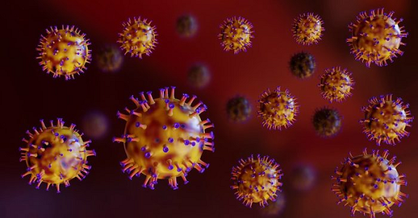 Hiện nay, các nhà khoa học không chỉ có thể dựng lại lịch sử tiến hóa của virus liên quan đến SARS-CoV-2, mà còn với nhiều loại RNA và DNA của virus trong quá khứ xa xưa.