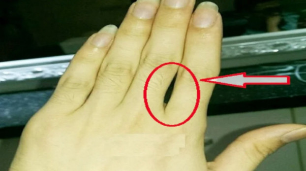 Giữa các ngón tay đều có kẽ hở. Đây là người có tính cách phóng khoáng, tiêu tiền rất thoải mái, không đắn đo, nhưng ngược lại họ cũng là người kiếm tiền rất giỏi.