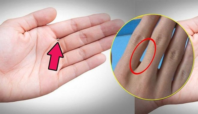 Khe hở ở ngón giữa và ngón đeo nhẫn. Người sở hữu khe hở ở ngón giữa và ngón đeo nhẫn thường có nhiều tham vọng, không thích ngồi yên một chỗ, thích đi đây đi đó. Con đường công danh, sự nghiệp sẽ rạng rỡ hơn nếu bạn đi làm xa nhà.