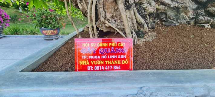 hủ nhân của tác phẩm độc đáo là một nhà vườn miền Trung.