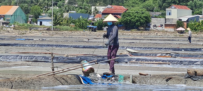 Để có những hạt muối trắng tinh khiết, diêm dân phải chuẩn bị hết sức công phu: Cải tạo nền đất, nạo vét, phơi bùn, nện chắc nền ruộng.