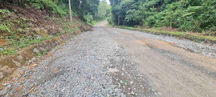 Quốc lộ 14D dài 74 km kết nối đường Hồ Chí Minh với Cửa khẩu quốc tế Nam Giang (Quảng Nam) là một phần của hành lang kinh tế Đông - Tây 2, đi qua lãnh thổ 3 nước: Việt Nam, Lào và Thái Lan.