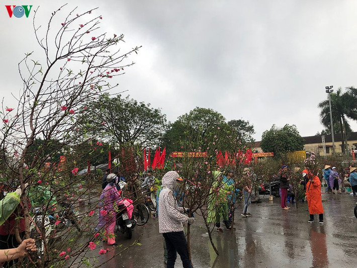 Chợ hoa Xuân trên phố Lạc Long Quân đối diện Quận uỷ Tây Hồ. Sáng nay, trời mưa người bán đào bỏ đào lại từ sớm.