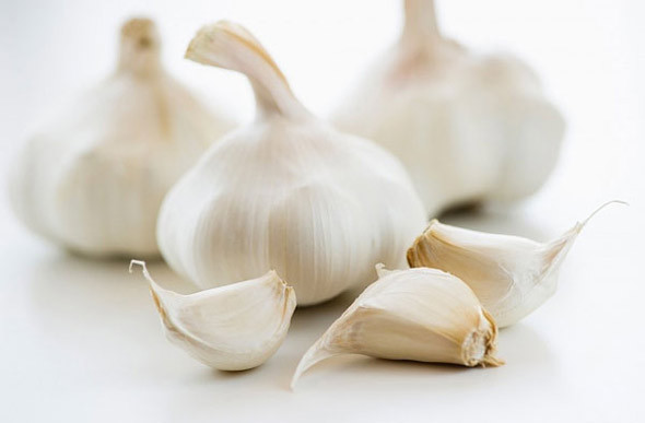 Nguyên liệu là tỏi trắng bình thường đã làm sạch, để ráo. Chọn loại tỏi càng ngon, lượng tinh dầu cao thì thành phẩm càng chất lượng. Bọc tỏi trong giấy bạc rồi cho vào nồi, đổ nước vào và bật chế độ nấu, khi nước gần sôi thì chuyển sang chế độ hâm nóng, giữ như thế ít nhất 15-20 ngày để tỏi lên men.