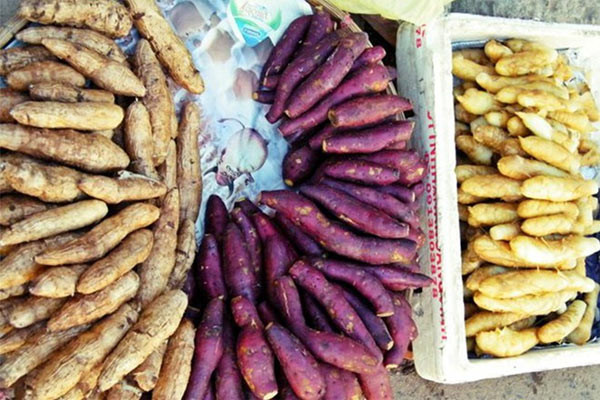 Giữa phố thị hiện đại, những trái bắp ngô, khoai lang luộc cũng là món quà sáng được yêu thíc. Món này bán nhiều trước các chợ hay dọc trên đường.