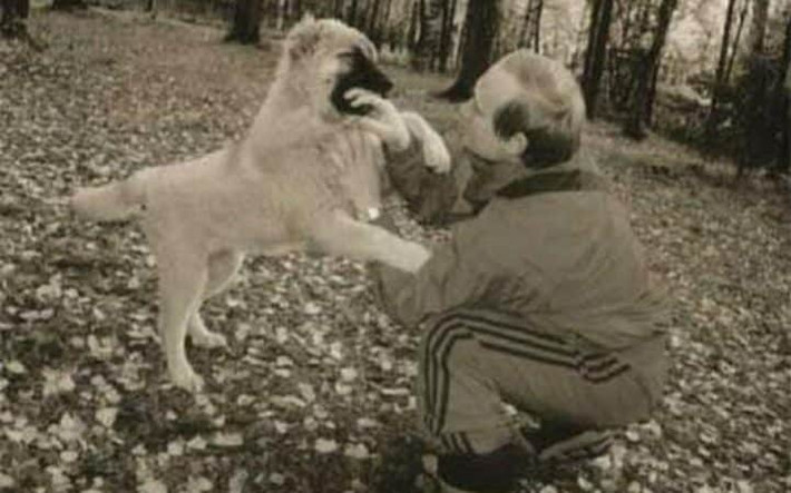 Ông Putin chơi đùa với chú chó cưng trong ảnh chụp khoảng năm 1971.