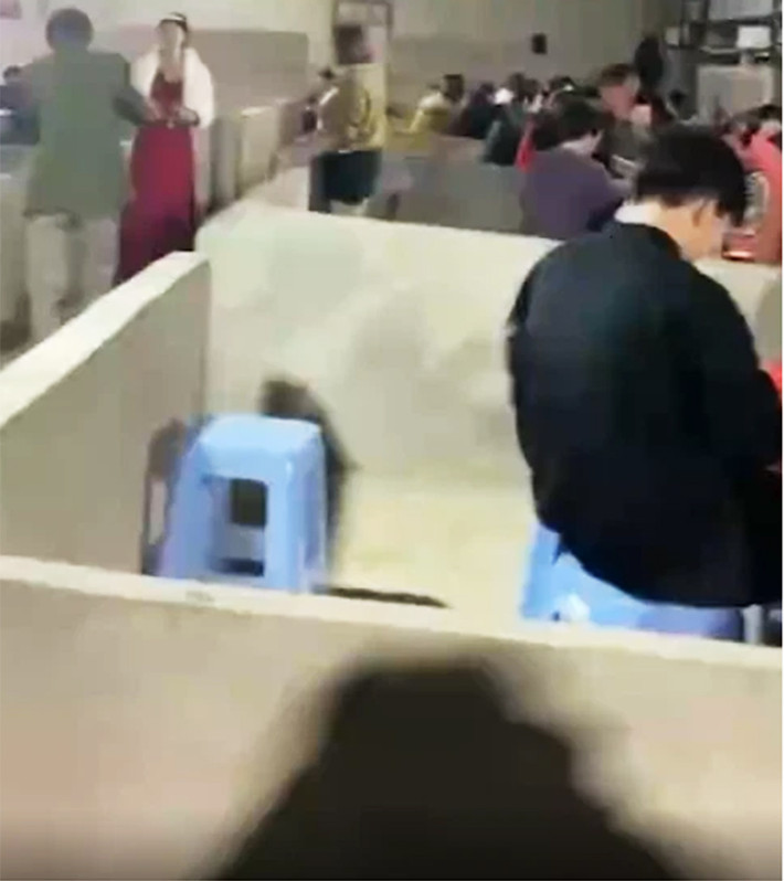 Mới đây, mạng xã hội Trung Quốc lan truyền đoạn video ghi lại cảnh một đám cưới được tổ chức ở chuồng lợn đã khiến netizen xôn xao bàn tán.