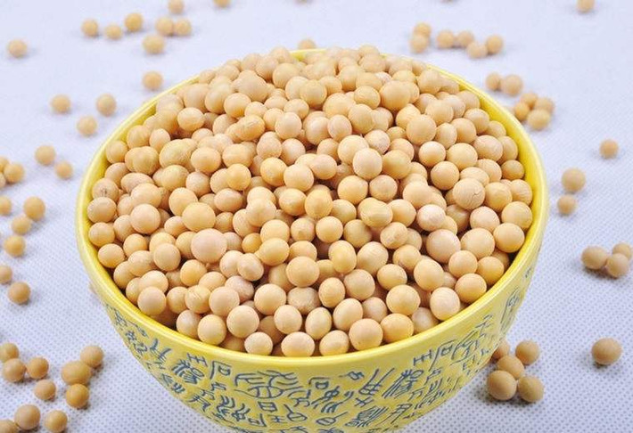 Đậu nành: Chứa nguồn dinh dưỡng phong phú, có tác dụng kiện tỳ, nhuận táo, tiêu thũng. Đây chính là thực phẩm lý tưởng dành cho phụ nữ tuổi mãn kinh, bệnh nhân tiểu đường và bệnh nhân mắc các bệnh lý về tim mạch. Ảnh: baicaolu.