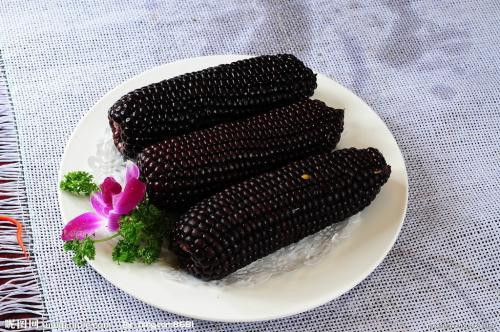 Ngoài ra, ăn ngô đỏ, ngô tím hoặc ngô đen lại có chứa nhiều anthocyanins, một chất có khả năng chống oxy hóa gốc tự do rất mạnh. Tuy nhiên để tận dụng được tối đa công dụng của ngô hầu như chúng ta đều chưa biết cách chế biến đúng. Ảnh: nipic.