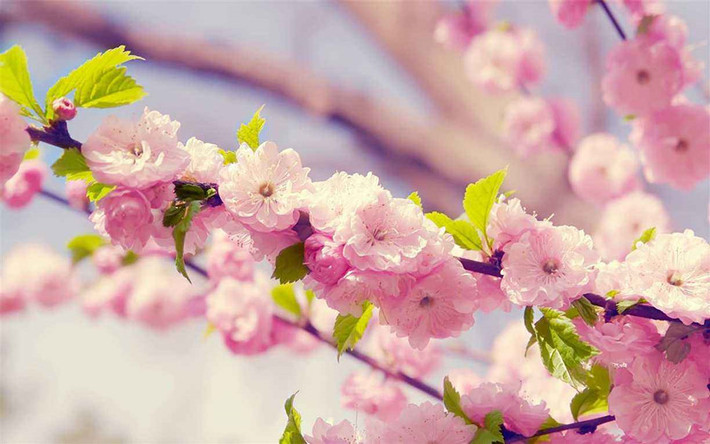 Tuổi Hợi: Công việc: Vận thế đang vượng, làm việc gì cũng suôn sẻ, hanh thông. Tài vận: Có cơ hội đón thần Tài đến nhà, tiền bạc rủng rỉnh. Tình cảm: Những bạn đơn thân sẽ có cơ duyên gặp được người tâm đầu ý hợp. Hướng vượng tài: Xuất hành hướng Đông, kỵ hướng Tây Nam. Màu sắc vượng vận: Màu xanh da trời. Quý nhân: Tuổi Mão. (Bài viết chỉ mang tính tham khảo, cung cấp nội dung trắc nghiệm vui cho bạn đọc).