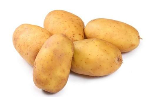Khoai tây nảy mầm hoặc nấu chưa chín. Trong khoai tây nảy mầm chứa chất độc solanine, dễ gây ngộ độc sau khi ăn. Ảnh: fjtv.