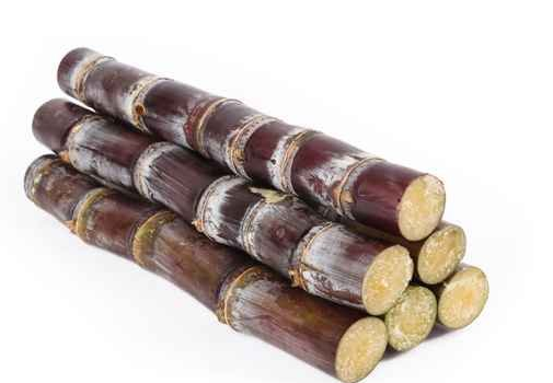 Trong trường hợp bị ngộ độc nặng có thể dẫn đến hôn mê, suy hô hấp, tử vong và nguy cơ để lại di chứng lên đến 50%. shengzhujiage.