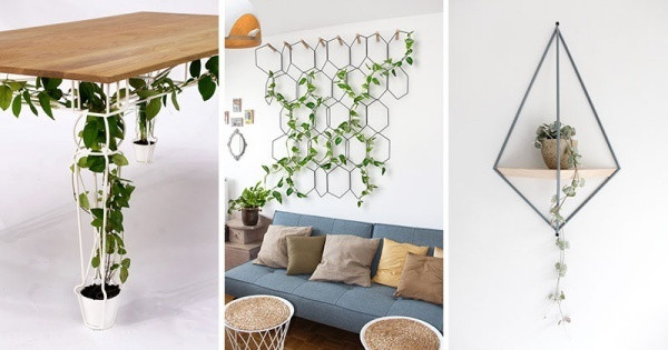 Bạn hãy bỏ qua ý nghĩ rằng, khi nhà có diện tích nhỏ, không đủ chỗ cho những vật dụng trang trí thì hãy tin rằng, thêm một chút những chậu cây leo, những loại cây dễ sống, dễ tạo điểm nhấn xanh biếc, duyên dáng sẽ tăng thêm nét đẹp ấn tượng, sinh động cho từng góc nhỏ. Một vài vị trí như kệ phòng khách, cửa trượt gần ban công, cửa sổ của bàn làm việc hay góc bệ cửa sổ phòng bếp… Tất cả mọi vị trí đều có thể trồng cây leo nếu bạn lựa chọn chậu cây với kích thước phù hợp.