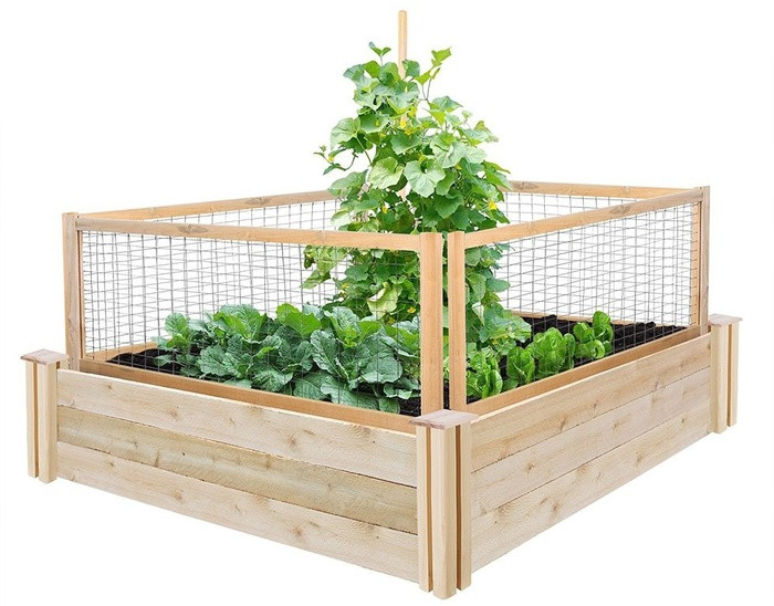 Có chiếc giá được che chắn chắc chắn này, bạn chẳng lo rau xanh nhà bạn bị sâu bệnh hay vật nuôi quấy phá.