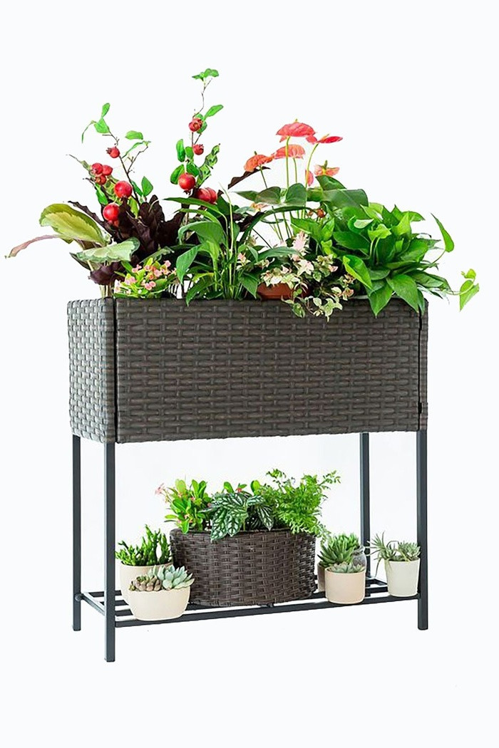 Bạn có thể trồng rau và hoa ở cả 2 tầng của chiếc giá này. Đây mẫu giá lý tưởng dành riêng cho không gian chật hẹp.