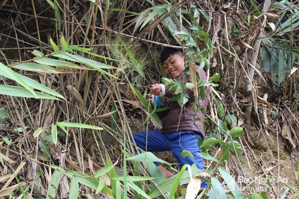 Cậu bé này cho biết mình hái đót về bán sau đó đưa cho mẹ để mua bút, vở. Ảnh Đình Tuân