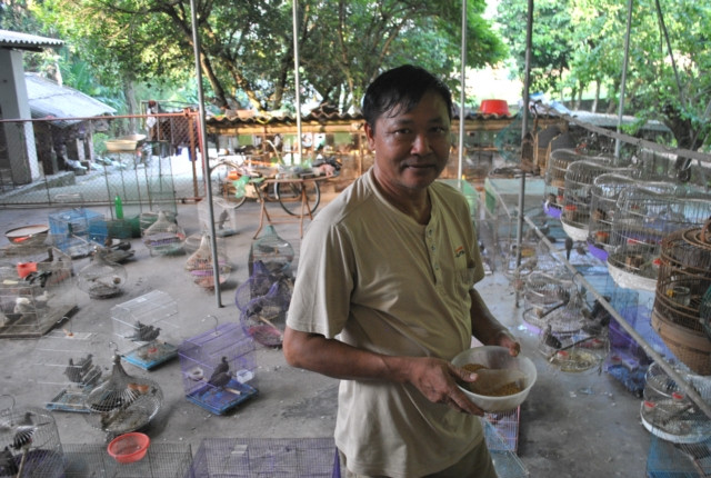 Ông Lĩnh là người có niềm đam mê với nghề nuôi chim cảnh, đặc biệt là nuôi chim cu gáy. Trước đây, khi rừng núi còn hoang sơ, chim cu gáy về quê ông làm tổ nhiều vô kể, tiếng chim gù râm ran khắp chốn.