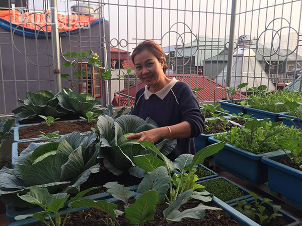 Chị Ninh Ngọc Quyên (Minh Khai, Hà Nội) hiện đang công tác trong ngành điện lực. Cách đây khoảng 1 năm, khi mới xây nhà, chị Quyên đã quyết định biến khoảng sân thượng tầng 5 của gia đình thành khu vườn nhỏ để trồng rau sạch và hoa thơm suốt bốn mùa. Ngắm nhìn khu vườn sân thượng xanh tốt mởn mởn của chị Quyên, không ít người sẽ phải trầm trồ khen ngợi và thán phục người phụ nữ đảm đang này.