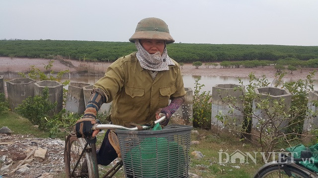 “Biết là lạnh nhưng thôi sắp Tết rồi còn nhiều thứ phải trông lắm, thôi cố gắng chịu lạnh đi bắt vậy, dù sao bắt con này công nó cũng cao, chịu khó lạnh mấy tiếng là có thể kiếm được mấy trăm ngàn rồi.” chị Hồng chia sẻ.