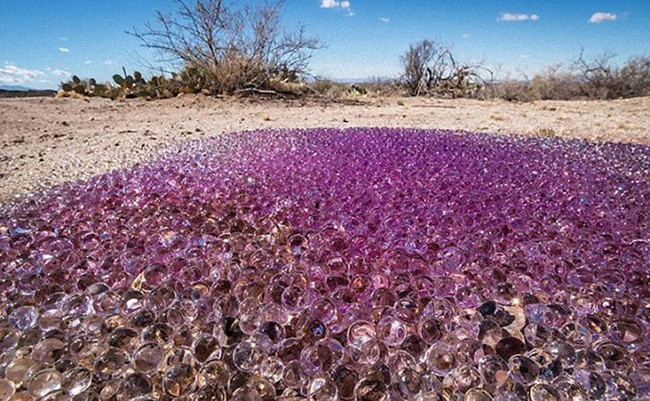 Vào năm 2013, một cặp vợ chồng đang đi dạo và chụp ảnh ở sa mạc Arizona về phía đông nam của Tucson đã phát hiện ra hàng ngàn quả cầu mờ đục và màu tím bí ẩn lấp lánh dưới ánh mặt trời.