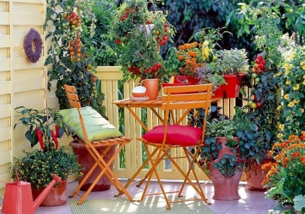 Những loại cây ăn quả như ớt, cà chua, chanh… đều vừa có thể làm cảnh vừa mang lại vẻ đẹp xinh tươi và nổi bật cho không gian ban công. Vì thế, hãy dành chút thời gian sắp xếp lại ban công để trồng các loại cây rau quả mà mình yêu thích. Góc nhỏ trò chuyện, thưởng trà mỗi sáng thêm bình yên và ấn tượng với sắc màu đa dạng.