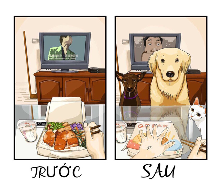 Cuộc sống độc thân trước đây thật tự do khi vừa thưởng thức cơm hộp, vừa xem tivi mà không bị ai quấy rầy. Sau khi nuôi pet, nhất cử nhất động đều có người giám sát, kể cả việc ăn ngon cũng không được ăn một mình.