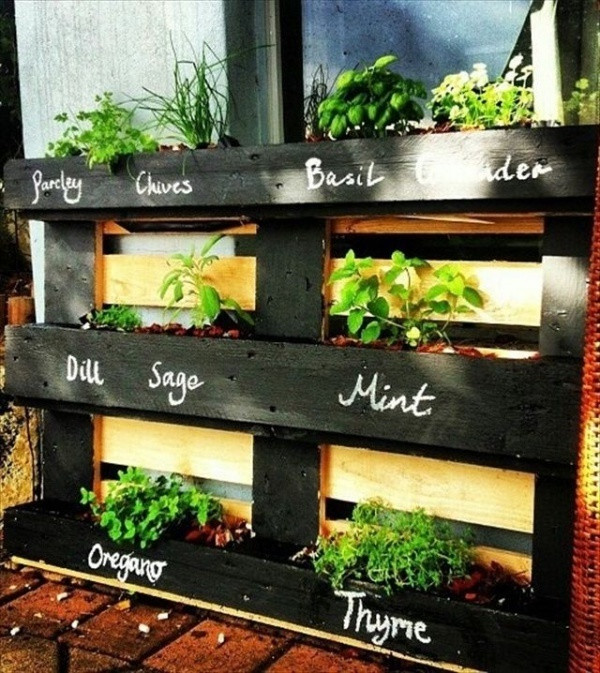 Sử dụng tấm pallet gắn lên một phần tường ban công. Bạn có thể bỏ đất vào bên trong phần kẹp giữa các thanh gỗ để trồng các loại cây gia vị.