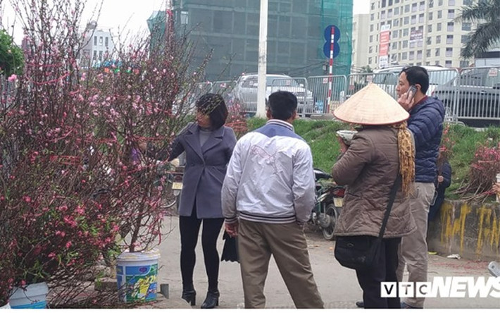 Chỉ còn hơn 10 ngày nữa là tới Tết Nguyên đán, nhiều ngày nay, tại vườn đào Nhật Tân, Hà Nội, người dân bắt đầu tấp nập đổ về sắm đào Tết (Ảnh: VTC News)
