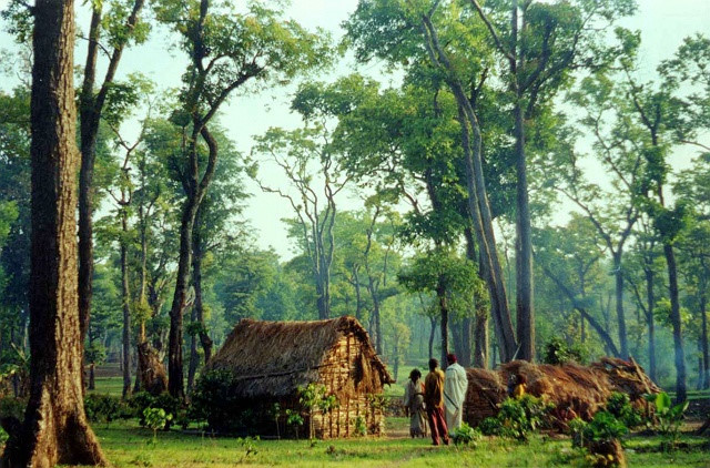 Western Ghats là vùng đất rộng mênh mông, bao quanh dãy núi chạy dọc bờ biển phía Tây Nam Ấn Độ.