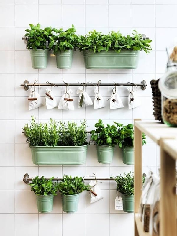 Với những ai yêu thích việc trồng nhiều các loại cây, loại rau gia vị trong bếp, hãy chọn bức tường có nhiều ánh sáng và gắn thanh kim loại. Không gian ngập tràn niềm vui khi có được những mảng xanh dịu dàng như vậy.