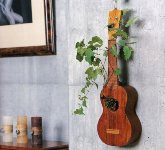 Một chiếc đàn guitar cũ có thể trở thành nơi trồng cây xanh độc đáo có một không hai. Hãy đổ đất vào trong hộp đàn và trồng cây từ lỗ tròn trên đàn, sau khi đã tháo bỏ các dây đàn. Cây leo như vạn niên thanh là một ý tưởng tuyệt vời để kết hợp với chiếc "chậu cây" thú vị này. Không gì lãng mạn bằng một góc tường treo cây đàn guitar, từ đó những thân cây uốn lượn và bám trên mảng tường xung quanh. Đó vừa là chậu cây, vừa là món đồ thú vị để bạn trang trí tường nhà.