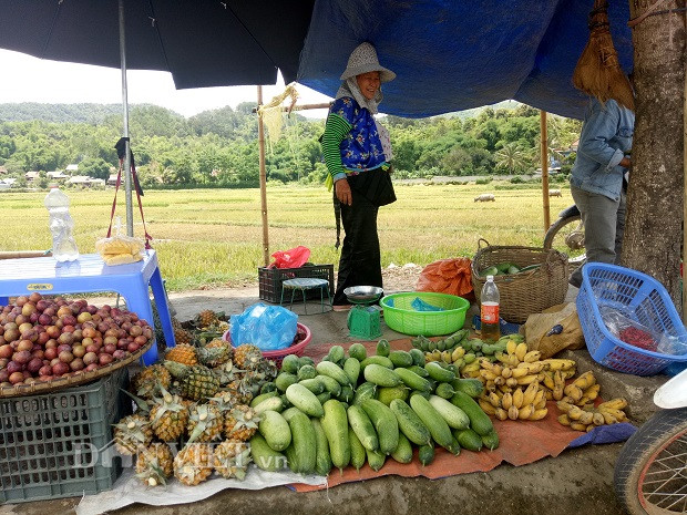 Chị Lầu Thị Chá, dân bản Hoa Sa (xã Tỏa Tình, huyện Tuần Giáo, tỉnh Điện Biên), cho biết: "Khi sinh ra tôi đã được ăn loại dưa này rồi. Ông bà kể lại rằng, ngày xưa cuộc sống khó khăn quá không có gì ăn nên giống dưa này được trồng để ăn cùng cơm khi đi làm nương rẫy và ăn vào những lúc mùa hè nóng nực. Cứ như vậy, hết đời này qua đời khác giống được lưu giữ đến tận bây giờ. Mấy năm trở lại đây, vào lúc nông nhàn bà con đã biết đem dưa đi bán ở chợ, bán cho khách du lịch để tăng thêm thu nhập".