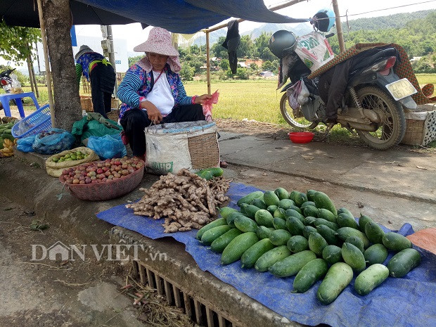 Anh Nguyễn Sỹ Thoại - khách du lịch đến từ xã An Mỹ (huyện Quỳnh Phụ, tỉnh Thái Bình) cho biết: "Lúc đầu nhìn bề ngoài, thấy trọng lượng quả dưa khủng quá nên tôi cứ nghĩ là do được phun thuốc kích thích nên không dám ăn. Sau khi được biết đây là dưa mèo, rất sạch, chỉ có ở những xã vùng cao của các tỉnh miền núi phía Bắc, được trồng ở độ cao nghìn mét trở lên so với mực nước biển. Cảm nhận của tôi khi ăn dưa này rất ngon, vị ngọt mát và giòn. Ăn một lần nhớ cả đời luôn".