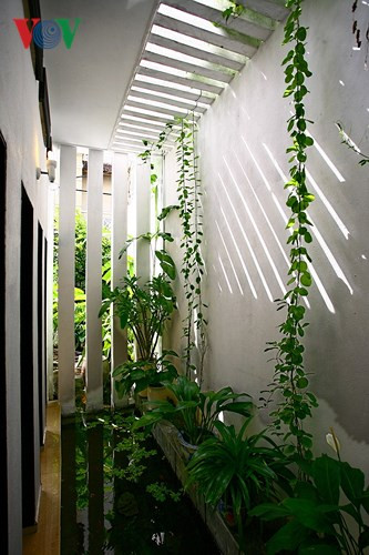 Hãy tận dụng tất cả những góc nhỏ, những rẻo đất để làm vườn - vườn mini. Khi nhìn thấy những góc xanh, bạn sẽ thấy tâm hồn luôn rộng mở.