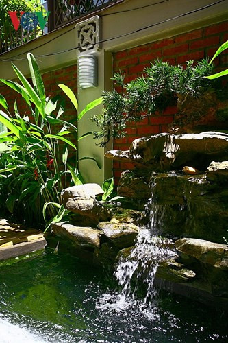 Giả sơn và thác nước chảy tạo sinh khí cho khu vườn.
