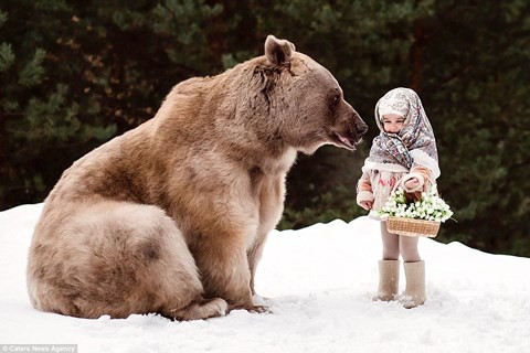 Theo tờ storytrender, bộ ảnh gây kinh ngạc vì tính thực tế, em bé hoàn toàn thoải mái chơi bên cạnh gấu khổng lồ không có chút sợ hãi. Nhiếp ảnh gia người Nga Olga Barantseva đã ghi lại khoảnh khắc đắt giá ở một cánh rừng gần thành phố Moscow, Nga.