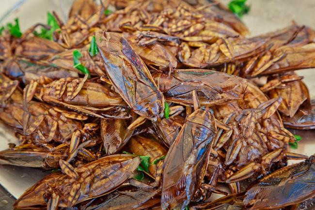2. Côn trùng chiên Gián, châu chấu, dế...được bắt trên cánh đồng tự nhiên để đem lại hương vị tuyệt vời nhất, chúng được đem chiên giòn, sau đó thêm các gia vị như bột ớt, muối để hương vị được thơm ngon hơn.
