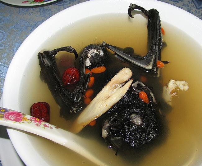 6. Thịt dơi Món ăn này là đặc sản ở Indonesia. Các chế biến thông thường nhất là hầm với nước dừa và một số gia vị đặc trưng hoặc đem chiên rán.