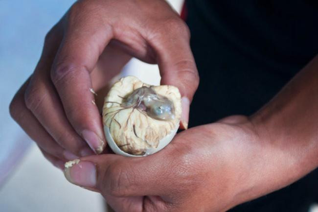 5. Balut Đây là đặc sản nổi tiếng nhất ở Philippines. Nó gần giống với trứng vịt lộn nhưng được làm từ trứng vịt non nấu trong 11 ngày, không ăn kèm rau răm hay gừng mà chỉ chấm với muối trắng.
