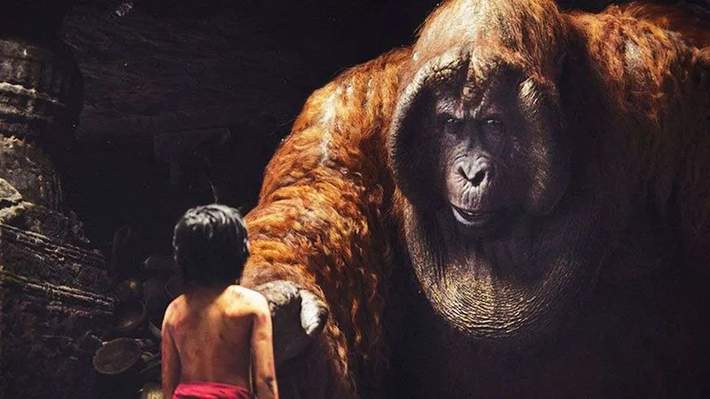 Các trầm tích cho thấy Gigantopithecus blacki sống từ khoảng 215.000 - 295.000 năm trước và biến mất khi môi trường rừng thay đổi xấu.
