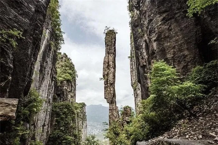 Kích thước của Gigantopithecus blacki tương đương với một con gấu lớn. Sinh vật bí ẩn này cao lên tới 5m và nặng hơn nửa tấn, là linh trưởng lớn nhất từng biết đến.